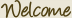 Welcome